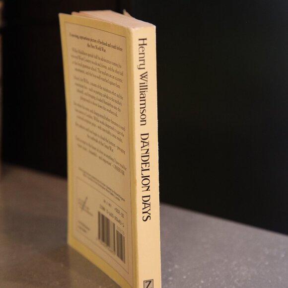 Dandelion Days - Picture 3 of 3